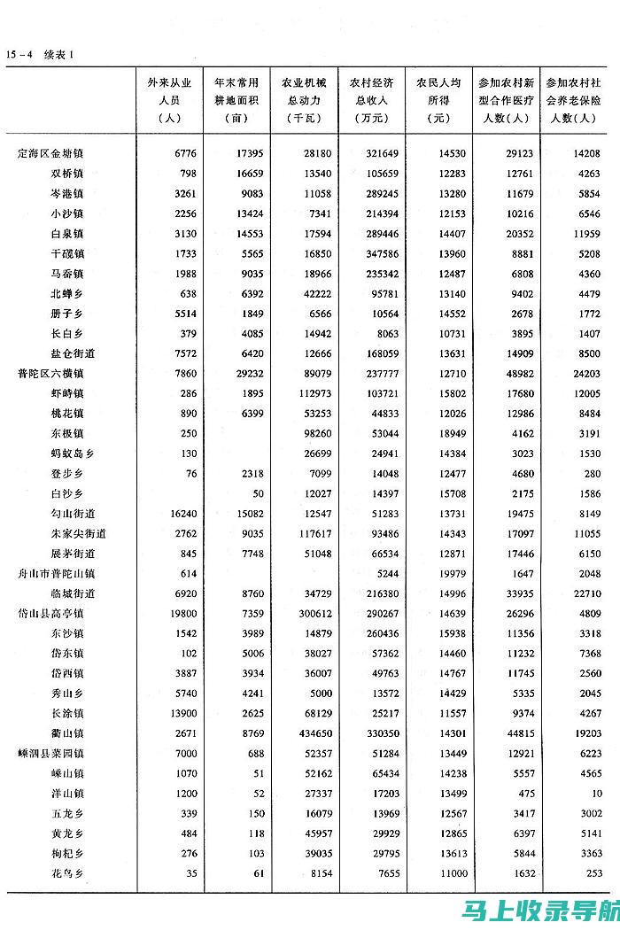 乡镇统计站站长的工作职责及其在日常工作中的实践策略分析